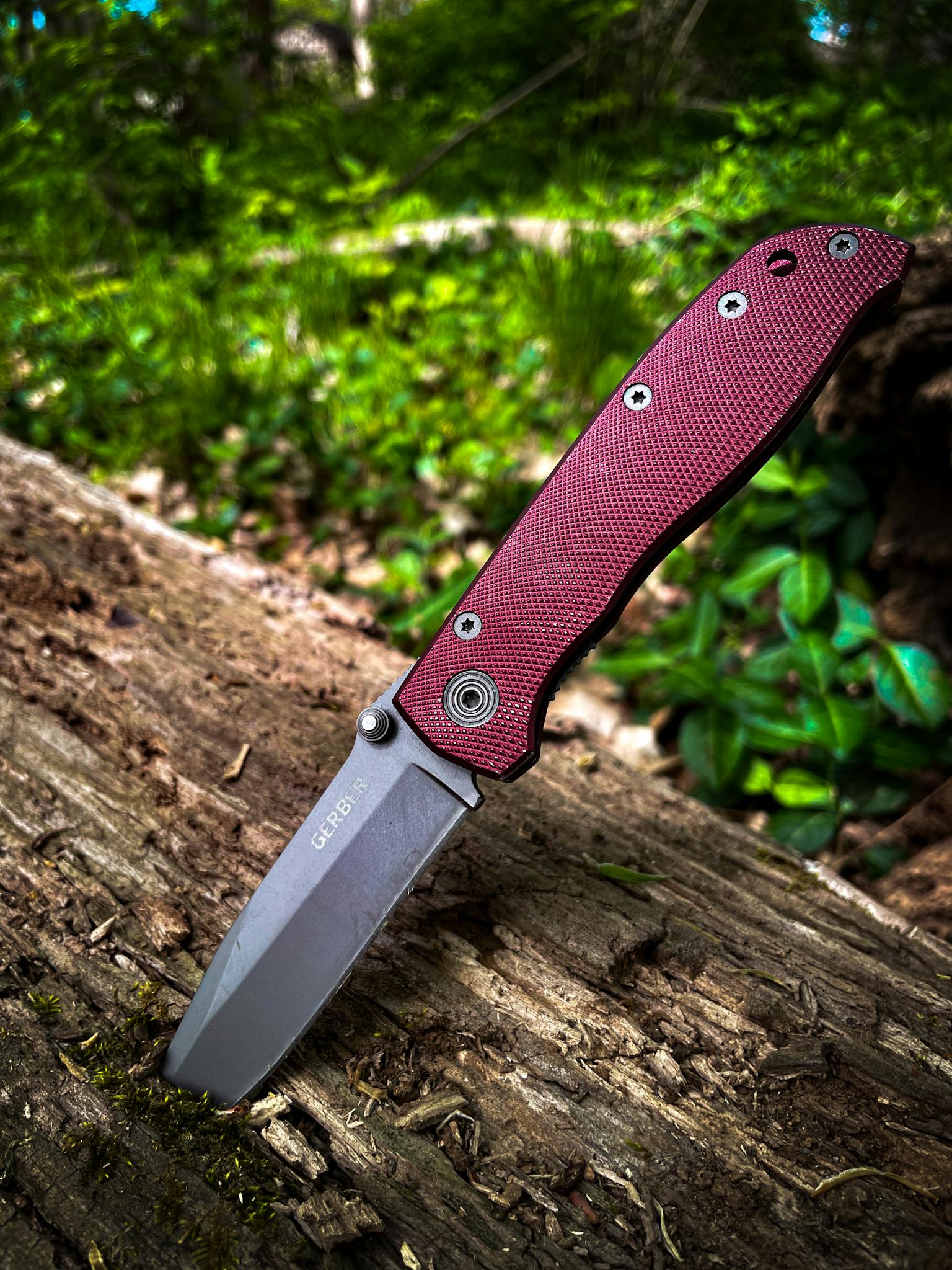 Detailed view of a red handled knife embedded in a log in a lush outdoor setting.
