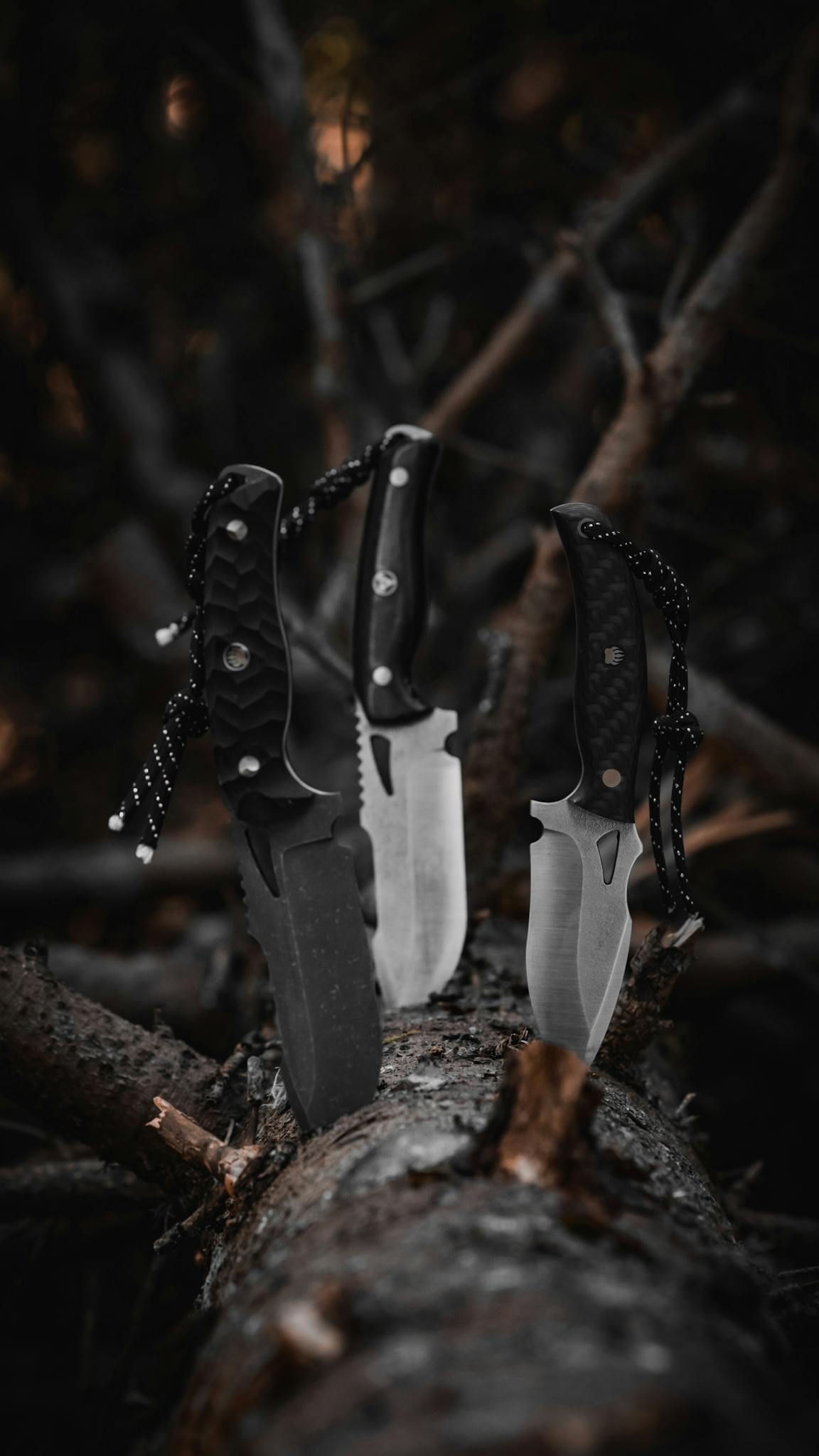 Three survival knives embedded in a tree trunk in a forest setting in Bolu, Türkiye.